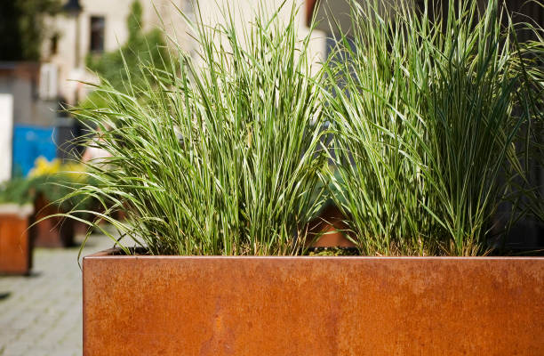 Decorating the terrace with artificial grass and flowers.
