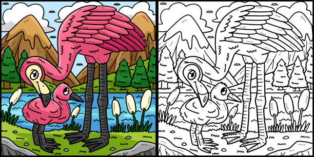 Mother Flamingo and Baby Flamingo Illustration This coloring page shows a Mother Flamingo and Baby Flamingo. One side of this illustration is colored and serves as an inspiration for children. how to draw a baby chick backgrounds stock illustrations