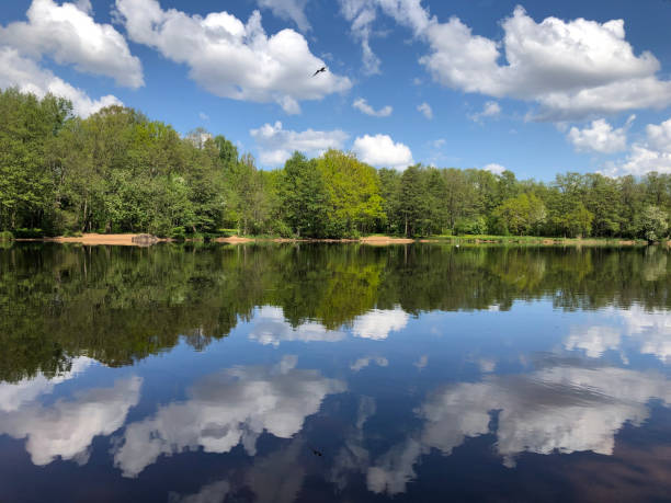 istock landscape by the river, mirror reflection of clouds 1494642328