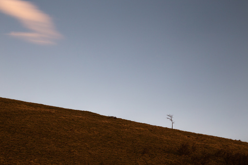 Minimalistic, long exposure view of a distant tree against an almost empty sky with moving clouds.
