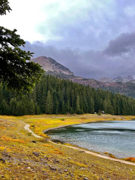 istock Tranquil landscape featuring a majestic lake surrounded by lush green trees and vibrant wildflowers 1494645407