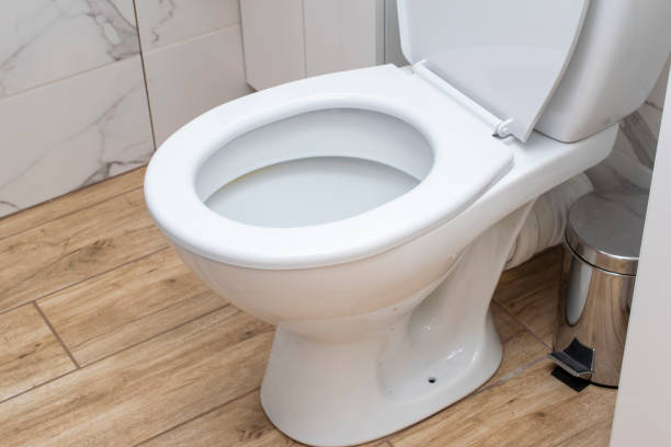 istock white toilet bowl, toilet, lavatory, 1494647861