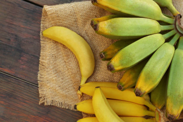 istock Different sorts of bananas on wooden table, flat lay 1494648571