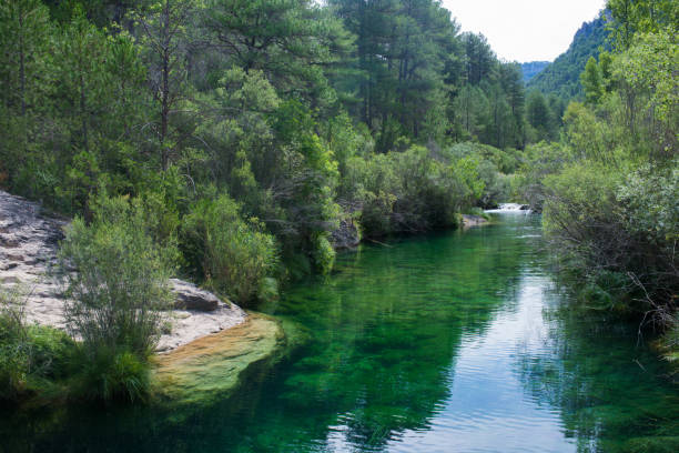 istock Peaceful landscape with river and green forest 1494648858