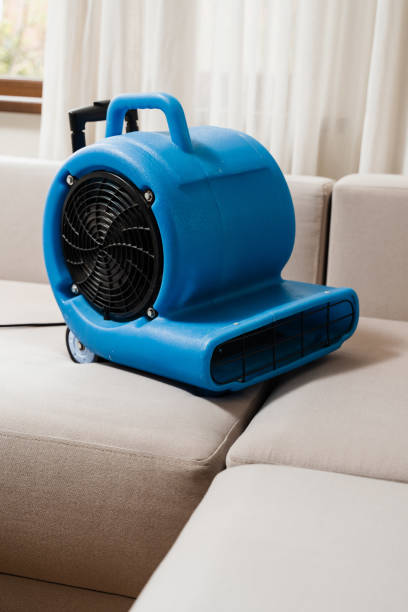 Floor Dryer Blower Fan Machine Drying Wet Couch After Dry Cleaning Of  Upholstered Furniture Process Of Drying Sofa Using Floor Dryer Blower Fan  Machine Stock Photo - Download Image Now - iStock