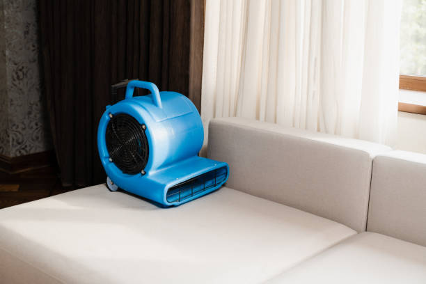istock Process of drying sofa using floor dryer blower fan machine. Floor dryer blower fan machine drying wet couch after dry cleaning of upholstered furniture. 1494649284