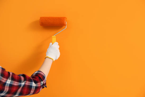 istock Designer painting orange wall with roller, closeup. Space for text 1494650089