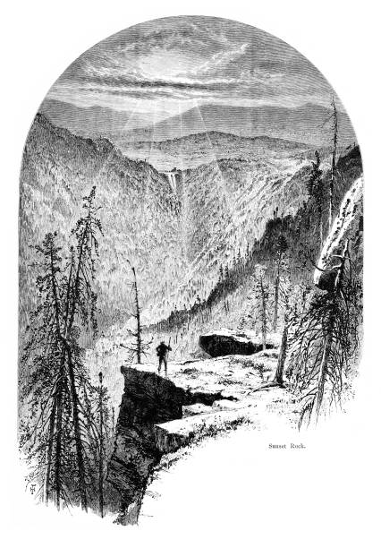 +30 Foresta Nazionale Di Allegheny Illustrazioni stock, grafiche