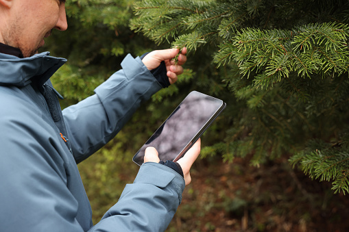 Man exploring trees and using digital tablet