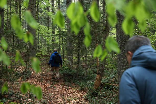 istock Traveler men walking in the forest 1494657893