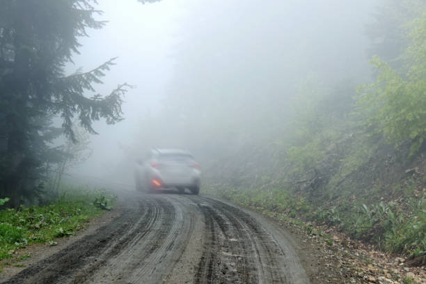 istock Driving off road car in the forest 1494657971