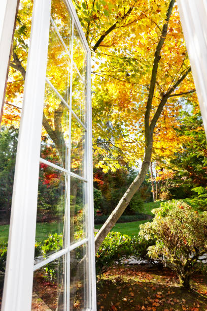 istock View of a sunny fall afternoon 1494658255