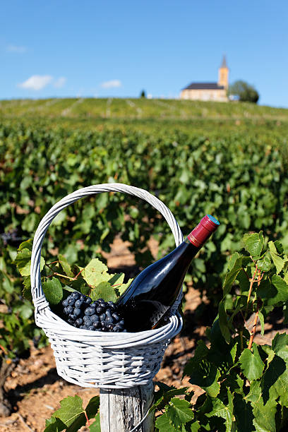 istock wine bottle and church 149466022