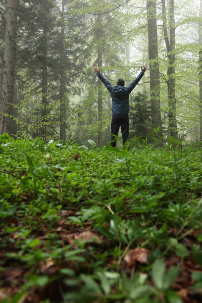 Free Stock Photo of Man Standing on Top of Lush Green Forest | Download ...