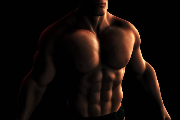 bodybuilder torso maschile illustrazione digitale - body building human muscle male body foto e immagini stock
