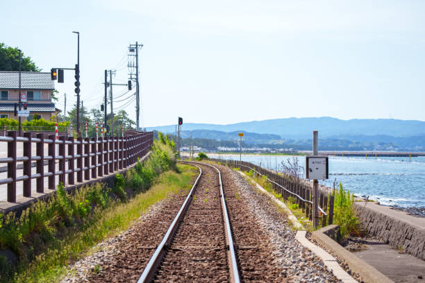 istock Scenery with trains and tracks running along the sea 1494671864