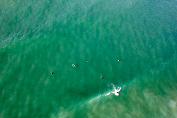 istock Surfing Aerial Overview 1494676737
