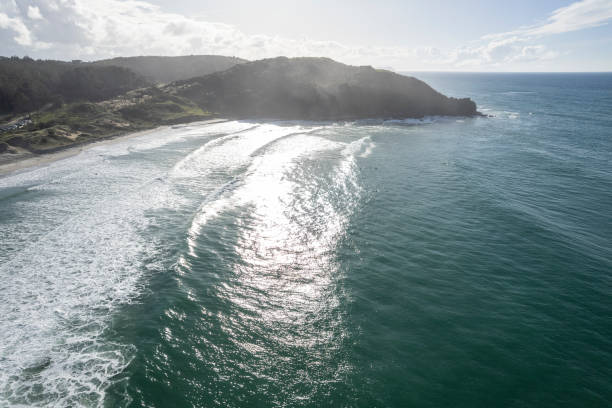 istock Forestry Beach, New Zealand 1494676826