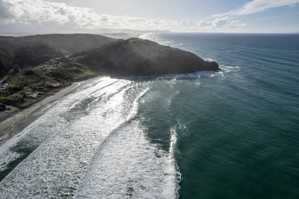 istock Forestry Beach, New Zealand 1494676935