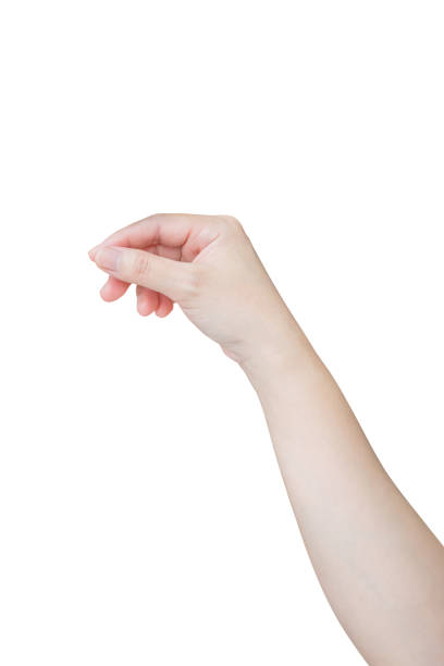 istock Woman hand gesture holding something isolated on white background 1494676983