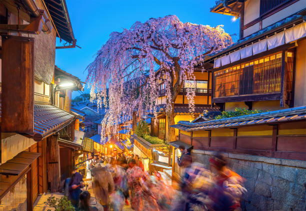 istock The historic Higashiyama district in Kyoto, Japan springtime with sakura tree 1494677308