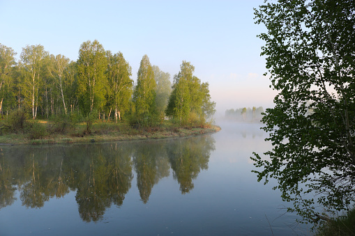 Summer morning on the river with fog, birches on the shore. Travel outdoors.