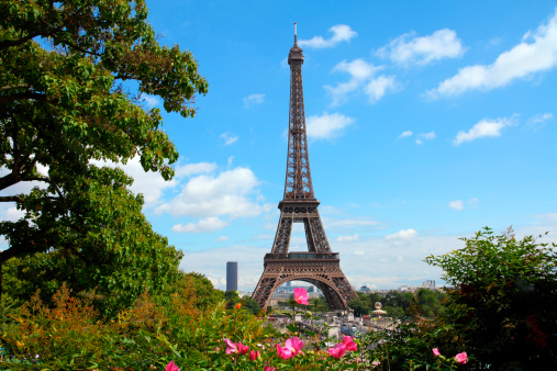 Beautiful garden in spring at the feet of Eiffel Tower in Paris. Panorama image.