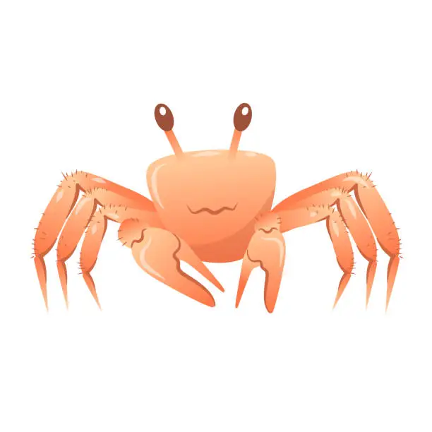 Vector illustration of Vector cartoon illustration of a cute  crab raising its claws isolated on a white background.