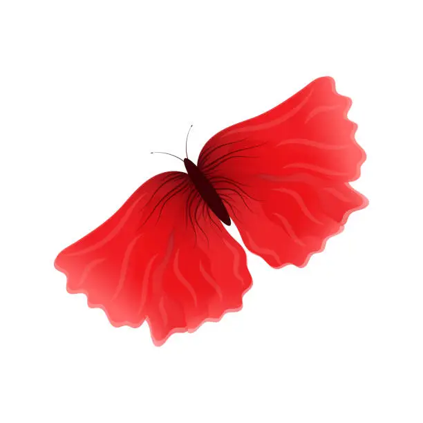 Vector illustration of a red butterfly with wings that look like poppies. Tender, airy, isolated on a white background. Vector illustration.