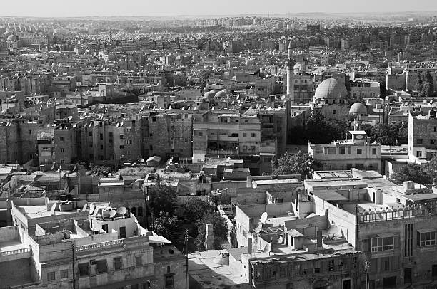 istock Aleppo, Syria viewed from the Aleppo citadel 149469286