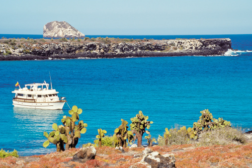Tourist boat visits South Plaza with red sesuvium and prickly pear cactus vegetation in foreground, Galapagos Islands, Ecuador