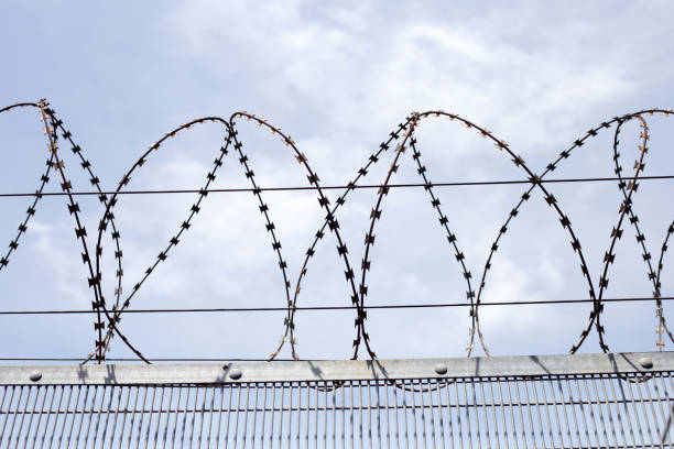istock Barbed wires against sky. Wired fence 1494705498