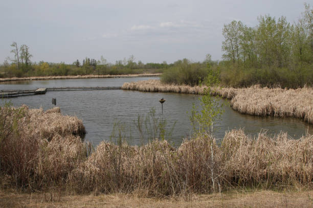 Wetland at Fort Whyte Alive, Winnipeg, Manitoba