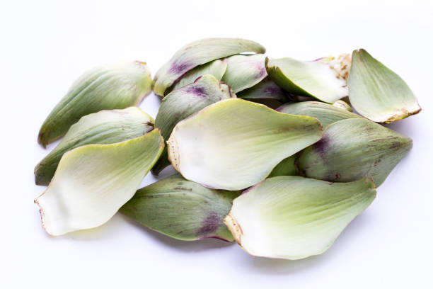 Fresh artichoke petals on white background