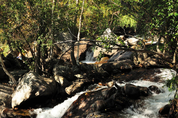 istock A stormy mountain stream flows in a swift stream through a dense forest, bending around large stones in its channel on a warm autumn evening. 1494711165