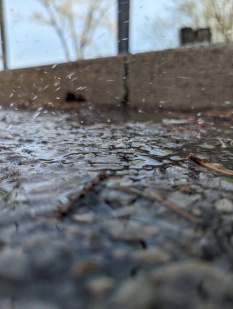 istock Droplets of water on pavement 1494712717