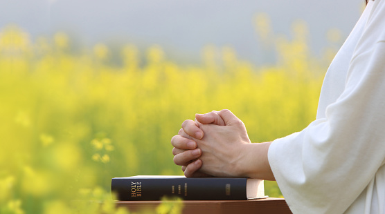 A Christian praying with his hands together on a holy bible on a spring day and a beautiful spring scenery with yellow rapeseed flowers swaying in the wind
