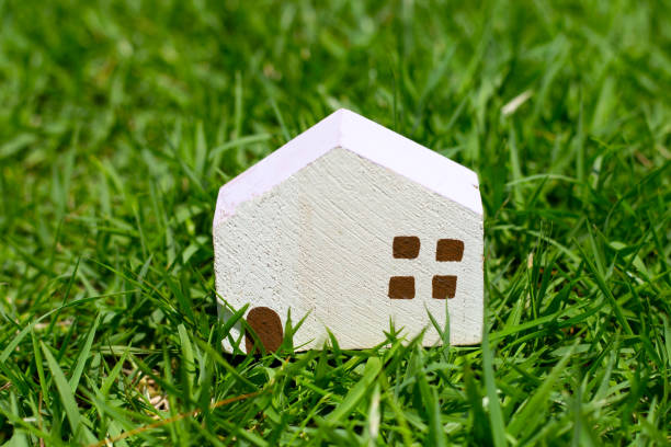 istock Miniature wooden house on green grass 1494716630