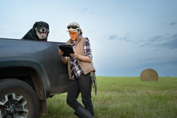 istock Young farmer uses her tablet in the hay field 1494718161