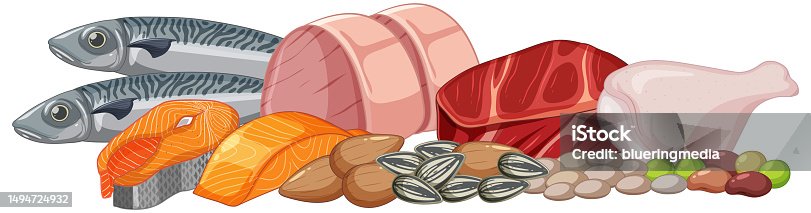 istock Assorted Meat and Seafood Vector for Menu Design 1494724932