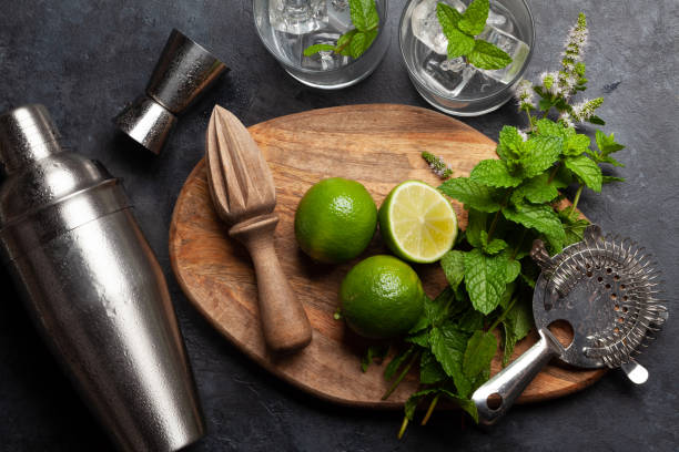 istock Mojito cocktail ingredients and drinks utensils 1494726443