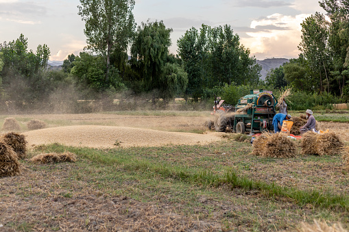 Swat, Pakistan - 24 May 2023: Wheat thresher blowing harvested wheat crop in the agriculture field