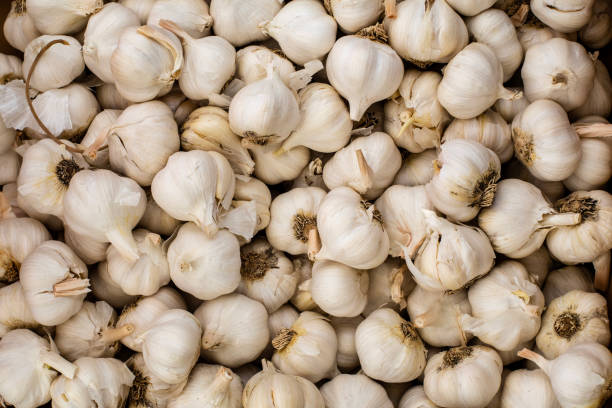 istock Bulk garlic on the market 1494728125