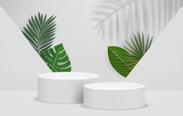 istock Bright interior with two podiums and green leaves. Eco friendly product showcase template. 3d vector background 1494729421