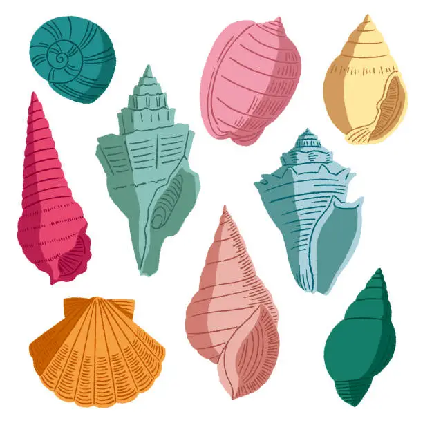 Vector illustration of Colorful Seashells