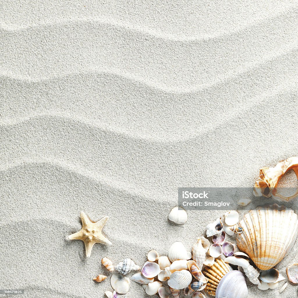 sand background with shells and starfish beach sand with shells and starfish Beach Stock Photo