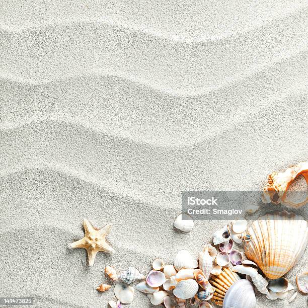 Sand Background With Shells And Starfish Stock Photo - Download Image Now - Beach, Animal Shell, Sand