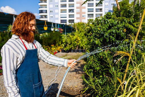 young redhaired ginger bearded man in apron working in the garden or plantation.