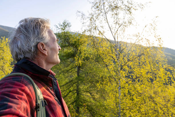 istock Mature hiker explores mountain meadow in morning light 1494747388