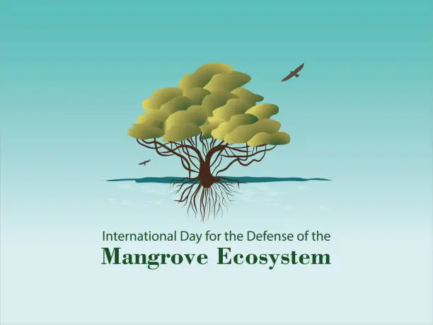 Vector illustration of International Day for the Defense of the Mangrove Ecosystem.July 26